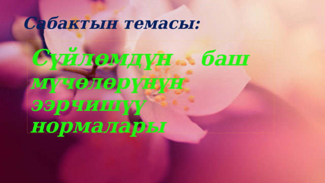 Сабактын темасы:  Сүйлөмдүн  баш мүчөлөрүнүн ээрчишүү нормалары 1 