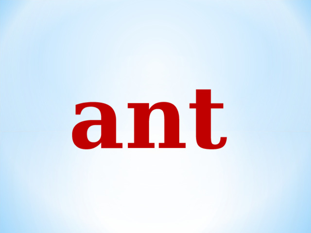 ant  