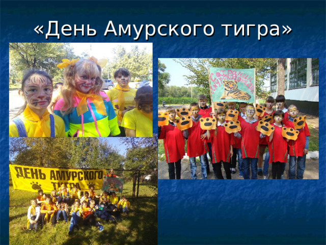 «День Амурского тигра» 
