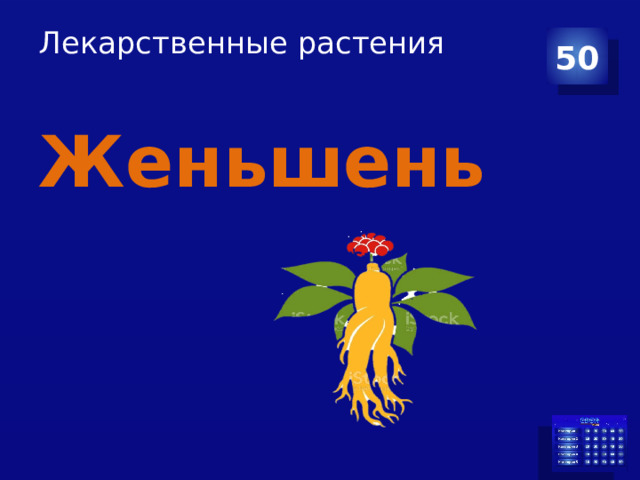 Лекарственные растения   50 Женьшень 