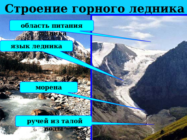 Строение горного ледника область питания ледника язык ледника морена  ручей из талой воды 