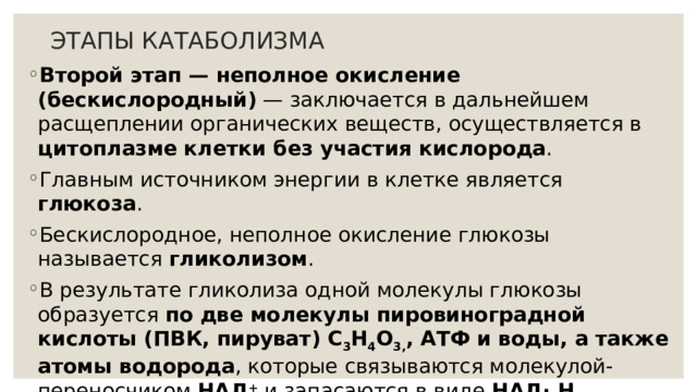 ЭТАПЫ КАТАБОЛИЗМА Второй этап — неполное окисление (бескислородный) — заключается в дальнейшем расщеплении органических веществ, осуществляется в цитоплазме  клетки без участия кислорода . Главным источником энергии в клетке является глюкоза . Бескислородное, неполное окисление глюкозы называется гликолизом . В результате гликолиза одной молекулы глюкозы образуется по две молекулы пировиноградной кислоты (ПВК, пируват) C 3 H 4 O 3, , АТФ и воды, а также атомы водорода , которые связываются молекулой-переносчиком НАД + и запасаются в виде НАД· Н .   