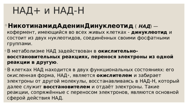 НАД+ и НАД-Н НикотинамидАденинДинуклеотид (  НАД ) — кофермент, имеющийся во всех живых клетках - динуклеотид и состоит из двух нуклеотидов, соединённых своими фосфатными группами. В метаболизме НАД задействован в окислительно-восстановительных реакциях, перенося электроны из одной реакции в другую . В клетках НАД находится в двух функциональных состояниях: его окисленная форма, НАД + , является окислителем и забирает электроны от другой молекулы, восстанавливаясь в НАД-Н, который далее служит восстановителем и отдаёт электроны. Такие реакции, сопряжённые с переносом электронов, являются основной сферой действия НАД. 