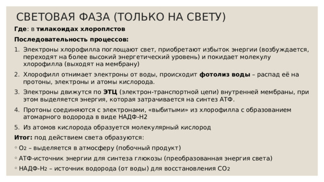 СВЕТОВАЯ ФАЗА (ТОЛЬКО НА СВЕТУ) Где : в тилакоидах хлороплстов Последовательность процессов: Электроны хлорофилла поглощают свет, приобретают избыток энергии (возбуждается, переходят на более высокий энергетический уровень) и покидает молекулу хлорофилла (выходят на мембрану) Хлорофилл отнимает электроны от воды, происходит фотолиз воды – распад её на протоны, электроны и атомы кислорода. Электроны движутся по ЭТЦ (электрон-транспортной цепи) внутренней мембраны, при этом выделяется энергия, которая затрачивается на синтез АТФ. Протоны соединяются с электронами, «выбитыми» из хлорофилла с образованием атомарного водорода в виде НАДФ-Н2 Из атомов кислорода образуется молекулярный кислород Итог: под действием света образуются: О 2 – выделяется в атмосферу (побочный продукт) АТФ-источник энергии для синтеза глюкозы (преобразованная энергия света) НАДФ-Н 2 – источник водорода (от воды) для восстановления СО 2 