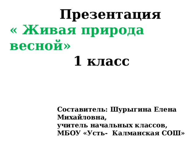  Презентация « Живая природа весной»  1 класс Составитель: Шурыгина Елена Михайловна, учитель начальных классов, МБОУ «Усть- Калманская СОШ» 