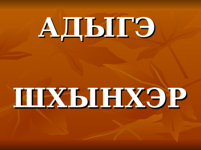  АДЫГЭ  ШХЫНХЭР 