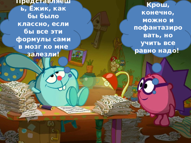 Представляешь, Ёжик, как бы было классно, если бы все эти формулы сами в мозг ко мне залезли! Крош, конечно, можно и пофантазировать, но учить все равно надо! 
