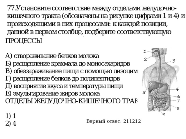 Верный ответ: 211212 