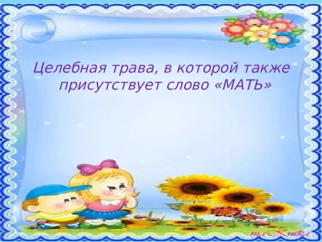 Целебная трава, в которой также присутствует слово «МАТЬ» 