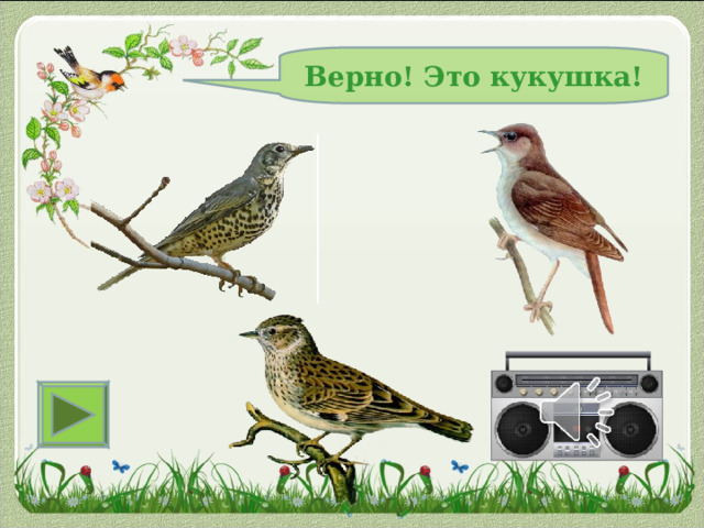 Верно! Это кукушка! 