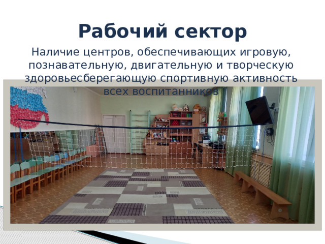 Рабочий сектор Наличие центров, обеспечивающих игровую, познавательную, двигательную и творческую здоровьесберегающую спортивную активность всех воспитанников 