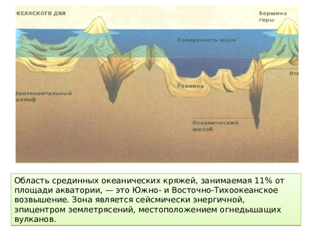 Область срединных океанических кряжей, занимаемая 11% от площади акватории, — это Южно- и Восточно-Тихоокеанское возвышение. Зона является сейсмически энергичной, эпицентром землетрясений, местоположением огнедышащих вулканов. 