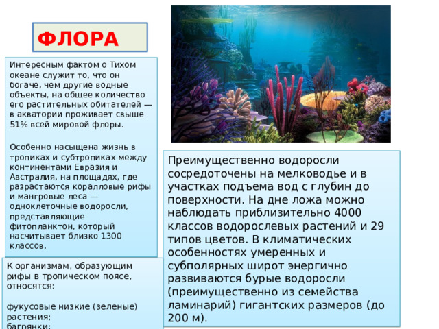  ФЛОРА Интересным фактом о Тихом океане служит то, что он богаче, чем другие водные объекты, на общее количество его растительных обитателей — в акватории проживает свыше 51% всей мировой флоры. Особенно насыщена жизнь в тропиках и субтропиках между континентами Евразия и Австралия, на площадях, где разрастаются коралловые рифы и мангровые леса — одноклеточные водоросли, представляющие фитопланктон, который насчитывает близко 1300 классов. Преимущественно водоросли сосредоточены на мелководье и в участках подъема вод с глубин до поверхности. На дне ложа можно наблюдать приблизительно 4000 классов водорослевых растений и 29 типов цветов. В климатических особенностях умеренных и субполярных широт энергично развиваются бурые водоросли (преимущественно из семейства ламинарий) гигантских размеров (до 200 м). К организмам, образующим рифы в тропическом поясе, относятся: фукусовые низкие (зеленые) растения; багрянки; полипы из кораллов. 