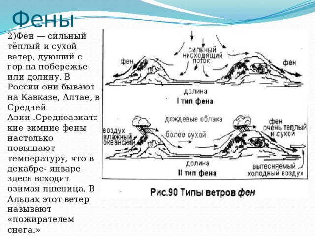 Фены 2)Фен — сильный тёплый и сухой ветер, дующий с гор на побережье или долину. В России они бывают на Кавказе, Алтае, в Средней Азии .Среднеазиатские зимние фены настолько повышают температуру, что в декабре- январе здесь всходит озимая пшеница. В Альпах этот ветер называют «пожирателем снега.» 