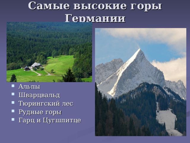 Самые высокие горы Германии Альпы Шварцвальд Тюрингский лес Рудные горы Гарц и Цугшпитце 
