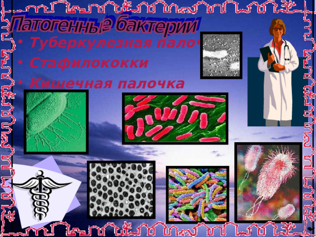 Туберкулезная палочка Стафилококки Кишечная палочка  