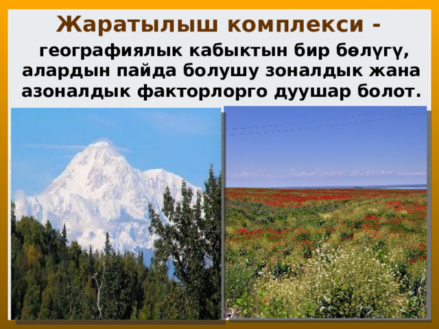 Жаратылыш комплекси -  географиялык кабыктын бир бөлүгү, алардын пайда болушу зоналдык жана азоналдык факторлорго дуушар болот. 