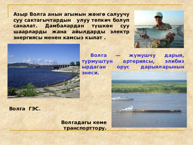 Азыр Волга анын агымын жөнгө салуучу суу сактагычтардын улуу тепкич болуп саналат. Дамбалардан түшкөн суу шаарларды жана айылдарды электр энергиясы менен камсыз кылат .  Волга — жумушчу дарыя, турмуштун артериясы, элибиз ырдаган орус дарыяларынын энеси.  Волга ГЭС.  Волгадагы кеме транспорттору. 