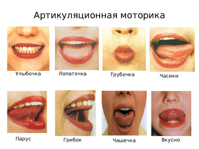 Артикуляционная моторика Лопаточка Улыбочка Трубочка Часики Парус Вкусно Грибок Чашечка 