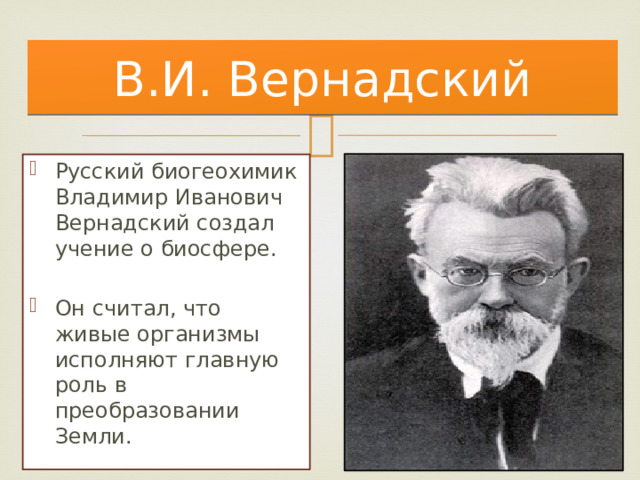 В.И. Вернадский Русский биогеохимик Владимир Иванович Вернадский создал учение о биосфере. Он считал, что живые организмы исполняют главную роль в преобразовании Земли. 