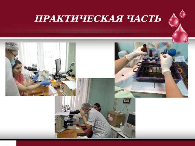 ПРАКТИЧЕСКАЯ ЧАСТЬ 