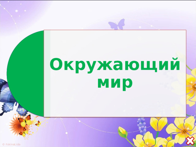 Окружающий мир 