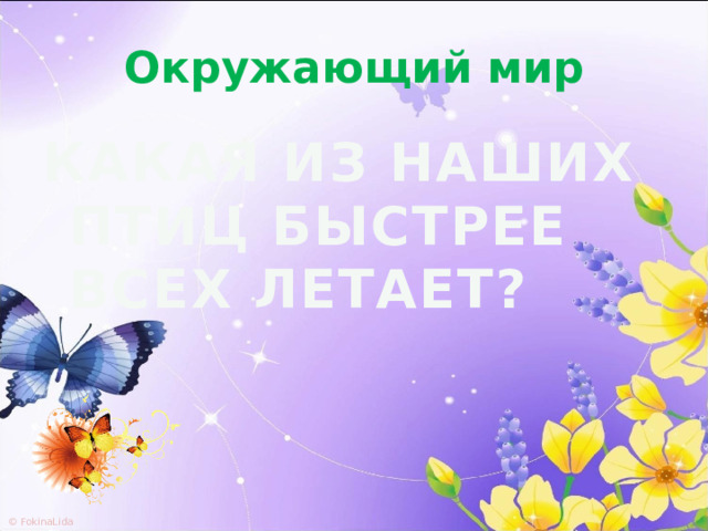 Окружающий мир КАКАЯ ИЗ НАШИХ ПТИЦ БЫСТРЕЕ ВСЕХ ЛЕТАЕТ? 