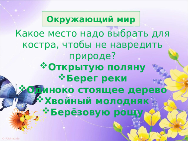 Окружающий мир Какое место надо выбрать для костра, чтобы не навредить природе? Открытую поляну Берег реки Одиноко стоящее дерево Хвойный молодняк Берёзовую рощу 
