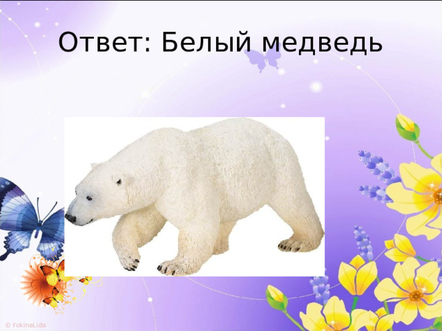Ответ: Белый медведь 