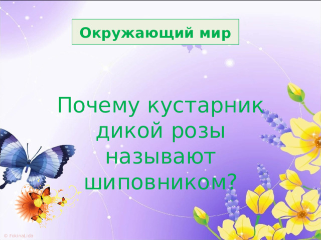 Окружающий мир Почему кустарник дикой розы называют шиповником? 