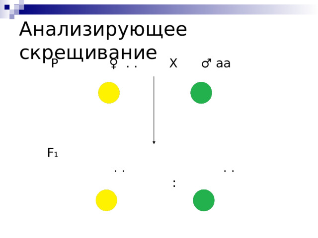 Анализирующее скрещивание  Р ♀ . . Х ♂ аа  F 1   . . . .  : 
