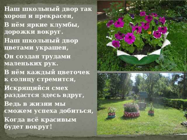 Наш школьный двор так хорош и прекрасен, В нём яркие клумбы, дорожки вокруг. Наш школьный двор цветами украшен, Он создан трудами маленьких рук. В нём каждый цветочек к солнцу стремится, Искрящийся смех раздастся здесь вдруг, Ведь в жизни мы сможем успеха добиться, Когда всё красивым будет вокруг! 
