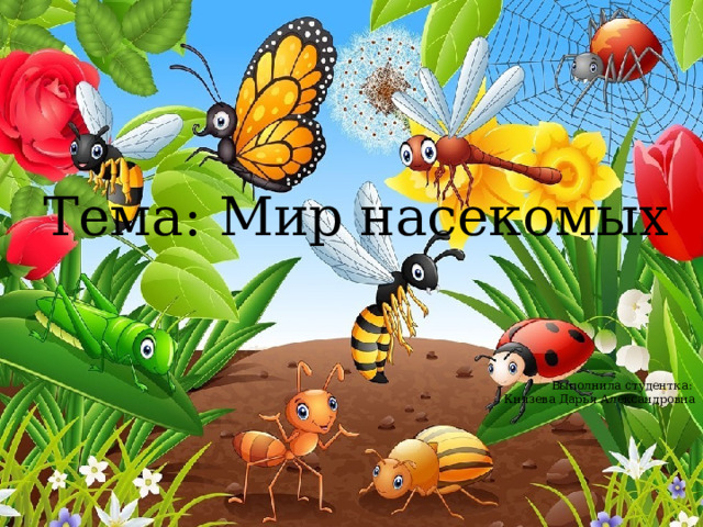 Тема: Мир насекомых Выполнила студентка:  Князева Дарья Александровна 
