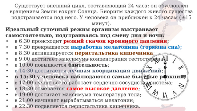 Существует внешний цикл, составляющий 24 часа: он обусловлен вращением Земли вокруг Солнца. Биоритм каждого живого существа подстраивается под него. У человека он приближен к 24 часам (±15 минут). Идеальный суточный режим организм выстраивает самостоятельно, подстраиваясь под смену дня и ночи:  •    в 6:30 происходит резкий скачок кровяного давления ;  •    в 7:30 прекращается выработка мелатонина (гормона сна);  •    в 8:30 активизируется перистальтика кишечника ;  •    в 9:00 достигает максимума концентрация тестостерона;  •    в 10:00 повышается бдительность ;  •     в 14:30 достигается лучшая координация движений ;  •     в 15:30 у человека наблюдаются самые быстрые реакции ;  •    в 17:00 лучше всего работает сердечно-сосудистая система;  •    в 18:30 отмечается самое высокое давление ;  •    в 19:00 достигает максимума температура тела;  •    в 21:00 начинает вырабатываться мелатонин;  •    в 22:30 подавляется перистальтика кишечника. 