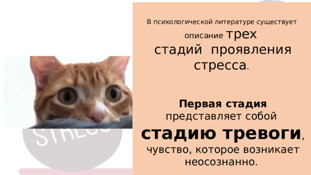 В психологической литературе существует описание трех стадий  проявления стресса . Первая стадия представляет собой стадию тревоги , чувство, которое возникает неосознанно. 