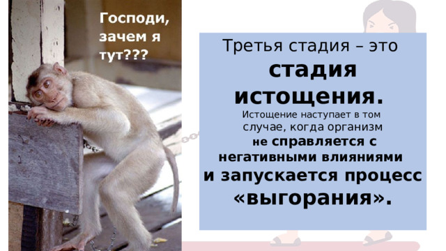 Третья стадия – это стадия истощения. Истощение наступает в том случае, когда организм  не справляется с негативными влияниями и запускается процесс «выгорания». 