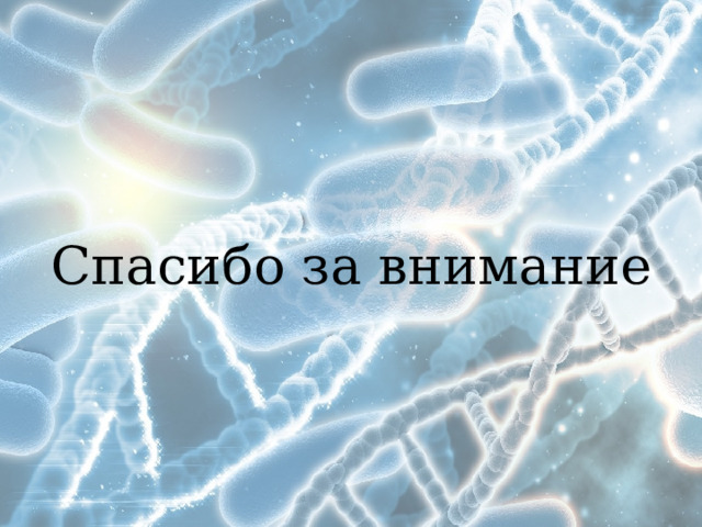Спасибо за внимание 