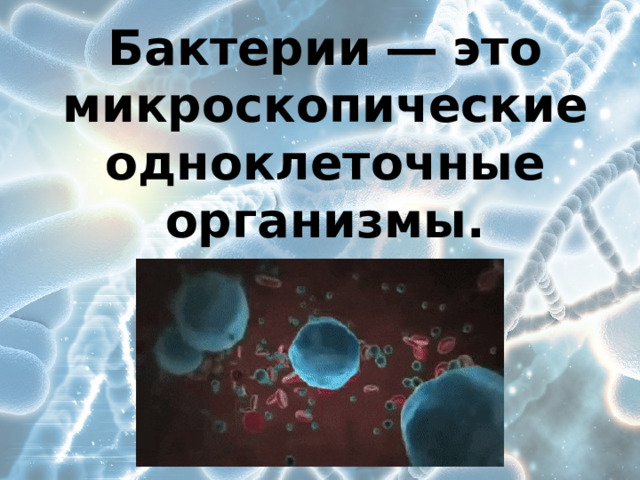 Бактерии ― это микроскопические одноклеточные организмы. 