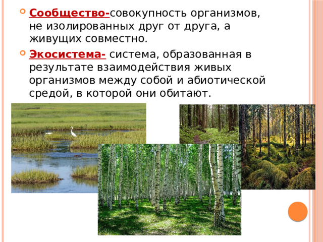 Сообщество- совокупность организмов, не изолированных друг от друга, а живущих совместно. Экосистема- система, образованная в результате взаимодействия живых организмов между собой и абиотической средой, в которой они обитают. 