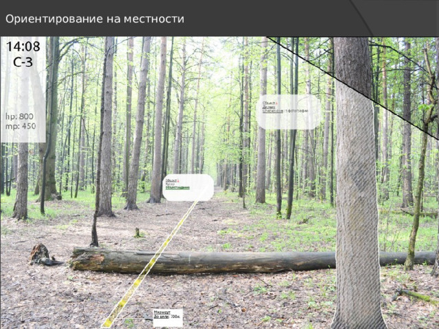 Ориентирование на местности 