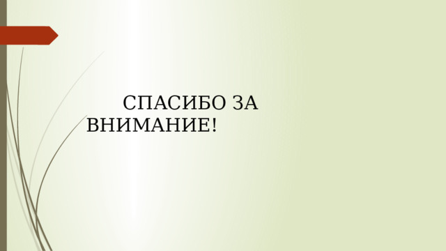  СПАСИБО ЗА ВНИМАНИЕ! 
