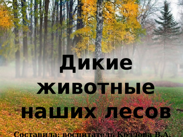 Дикие животные наших лесов  Дикие животные Составила: воспитатель Козлова В.А. 