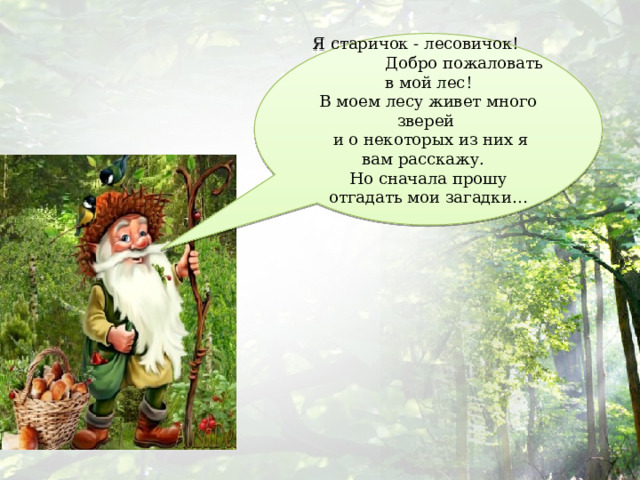 Я старичок - лесовичок! Добро пожаловать в мой лес! В моем лесу живет много зверей  и о некоторых из них я вам расскажу. Но сначала прошу отгадать мои загадки… 
