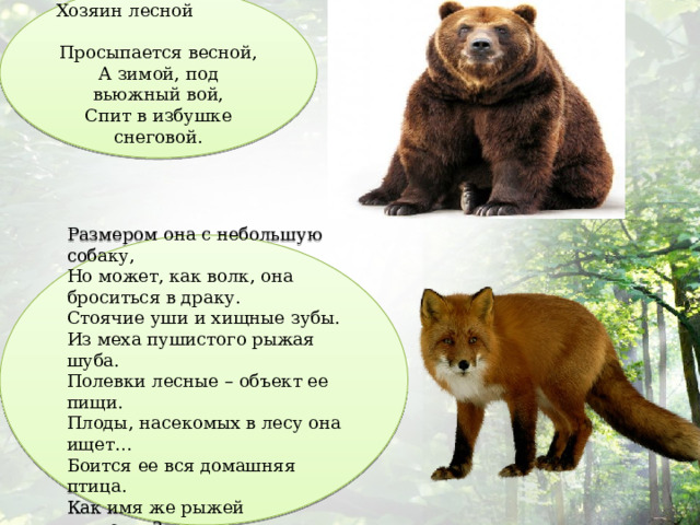 Хозяин лесной  Просыпается весной,  А зимой, под вьюжный вой,  Спит в избушке снеговой. Размером она с небольшую собаку,  Но может, как волк, она броситься в драку.  Стоячие уши и хищные зубы.  Из меха пушистого рыжая шуба.  Полевки лесные – объект ее пищи.  Плоды, насекомых в лесу она ищет…  Боится ее вся домашняя птица.  Как имя же рыжей плутовки? 