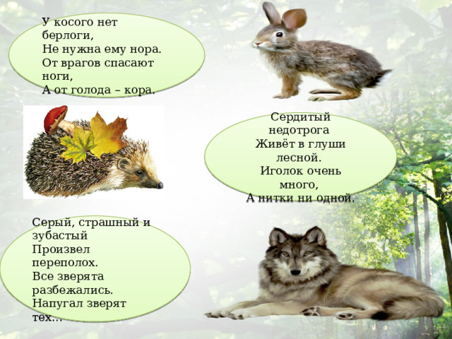У косого нет берлоги,   Не нужна ему нора.  От врагов спасают ноги,   А от голода – кора. Сердитый недотрога   Живёт в глуши лесной.   Иголок очень много,   А нитки ни одной.   Серый, страшный и зубастый   Произвел переполох.   Все зверята разбежались.   Напугал зверят тех… 