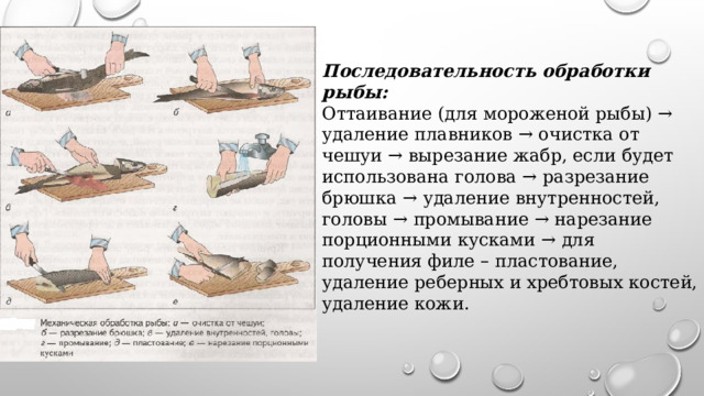 Последовательность обработки рыбы: Оттаивание (для мороженой рыбы) → удаление плавников → очистка от чешуи → вырезание жабр, если будет использована голова → разрезание брюшка → удаление внутренностей, головы → промывание → нарезание порционными кусками → для получения филе – пластование, удаление реберных и хребтовых костей, удаление кожи. 