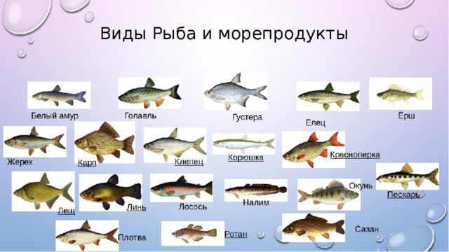 ВИДЫ РЫБНЫХ ПРОДУКТОВ 