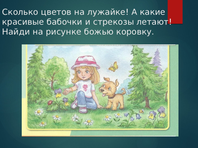 Сколько цветов на лужайке! А какие красивые бабочки и стрекозы летают!  Найди на рисунке божью коровку. 