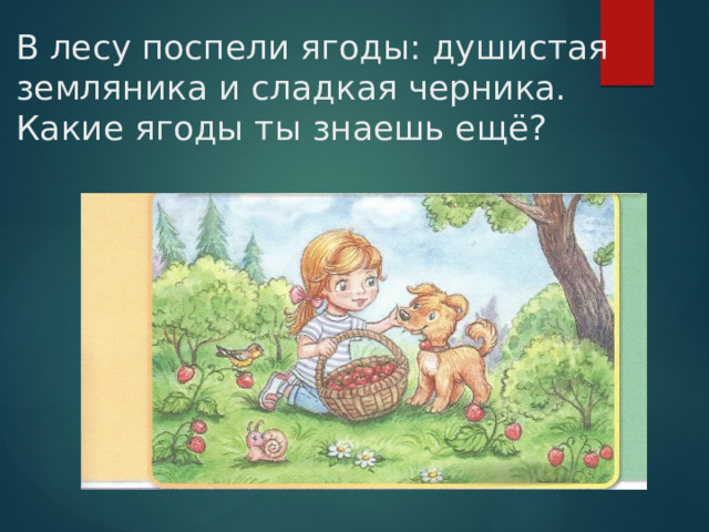 В лесу поспели ягоды: душистая земляника и сладкая черника.  Какие ягоды ты знаешь ещё?   