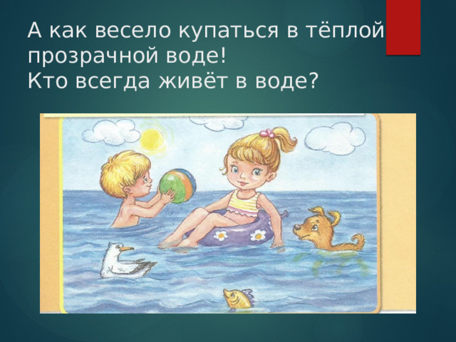 А как весело купаться в тёплой прозрачной воде!  Кто всегда живёт в воде?   